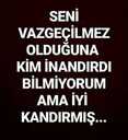 vazgecilmez_sanan.jpg